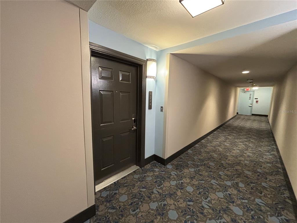 A dark brown door with the number 1224 is located in a carpeted apartment hallway — 14501 GROVE RESORT AVENUE UNIT 1224, WINTER GARDEN, FL