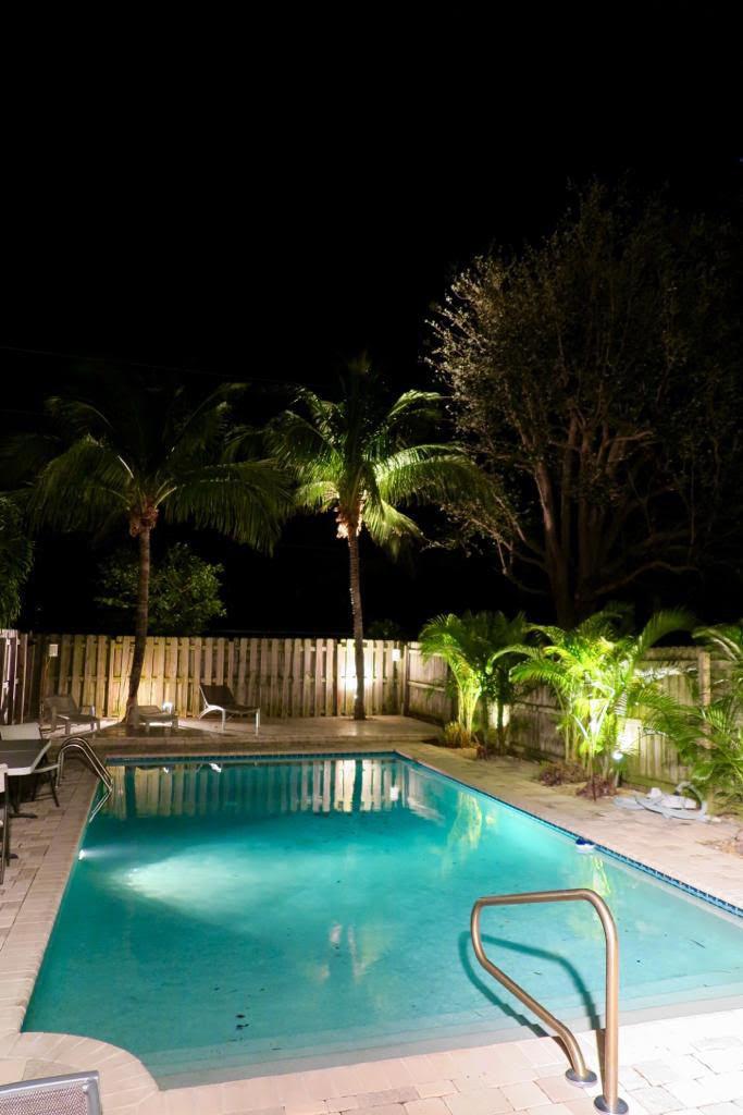 A backyard swimming pool at night with palm trees and a wooden privacy fence — 619 NE 7th Avenue, Delray Beach FL 33483, DELRAY BEACH, FL