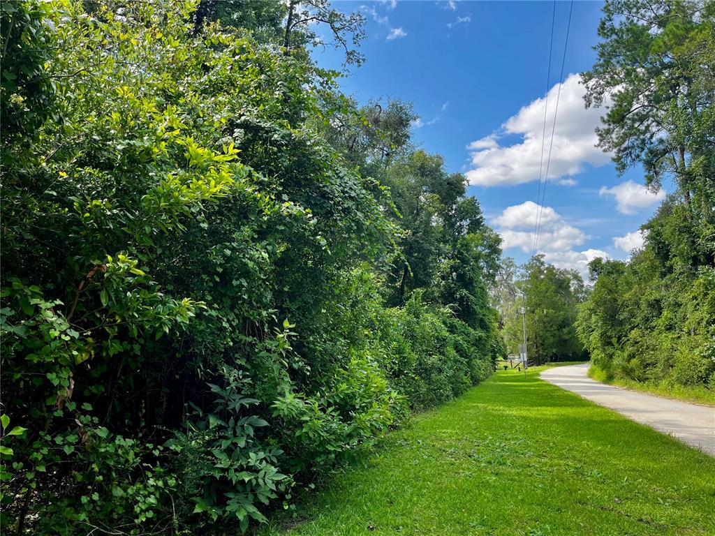 A gravel road runs alongside a dense line of trees and green vegetation — TBD NW 127TH COURT, OCALA, FL