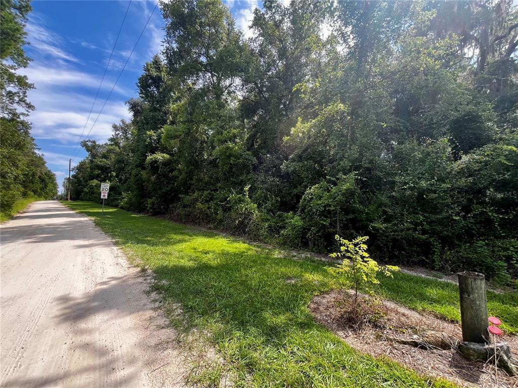 A dirt road runs alongside a dense wooded area with a speed limit sign — TBD NW 127TH COURT, OCALA, FL