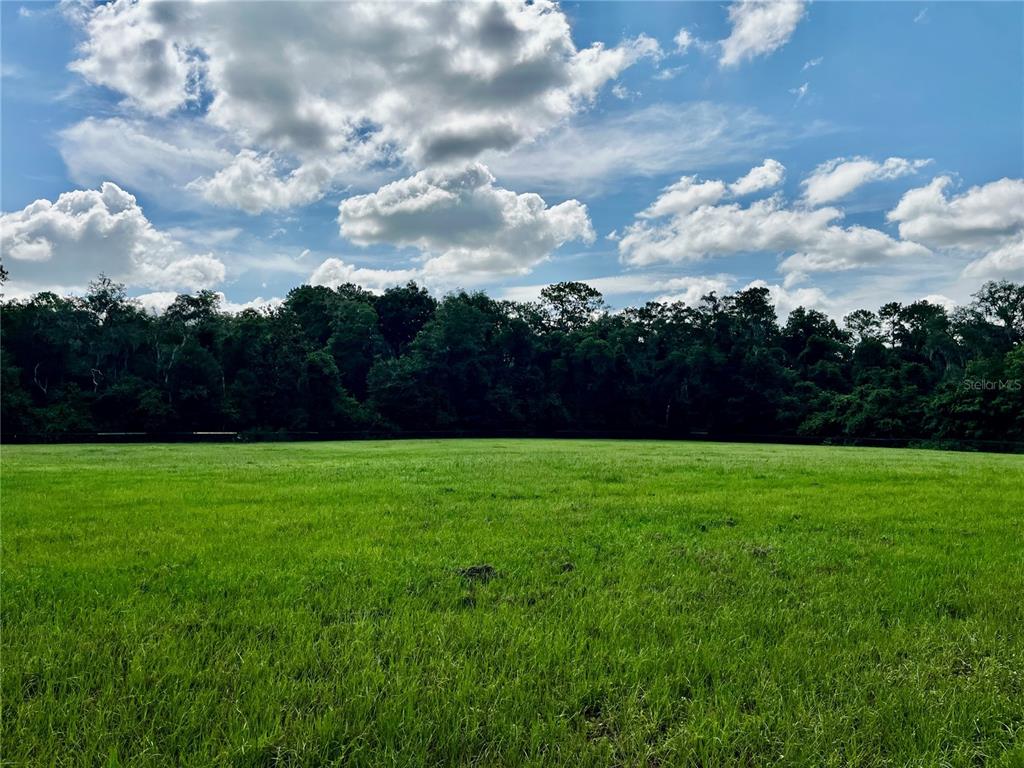 A wide, grassy field is bordered by a dense line of trees under a cloudy sky — TBD NW 127TH COURT, OCALA, FL