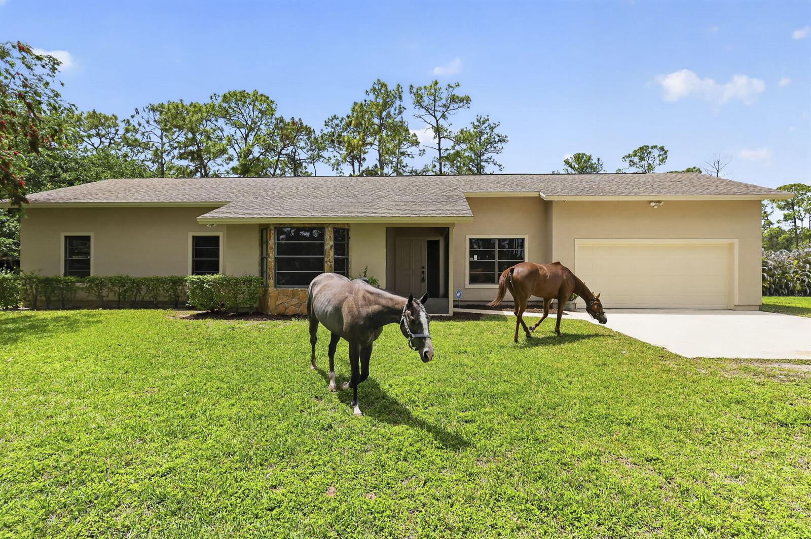 A single-story house with a beige exterior and two horses grazing on the front lawn — 6045 Hall Boulevard, FL 33470, FL