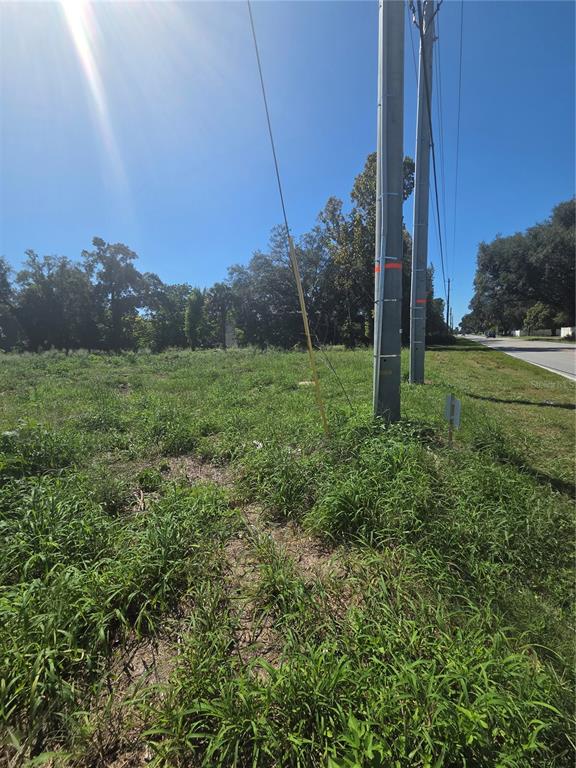 A grassy, undeveloped lot features two utility poles along a paved road under a clear sky — 0 CYPRESS GARDENS ROAD, WINTER HAVEN, FL