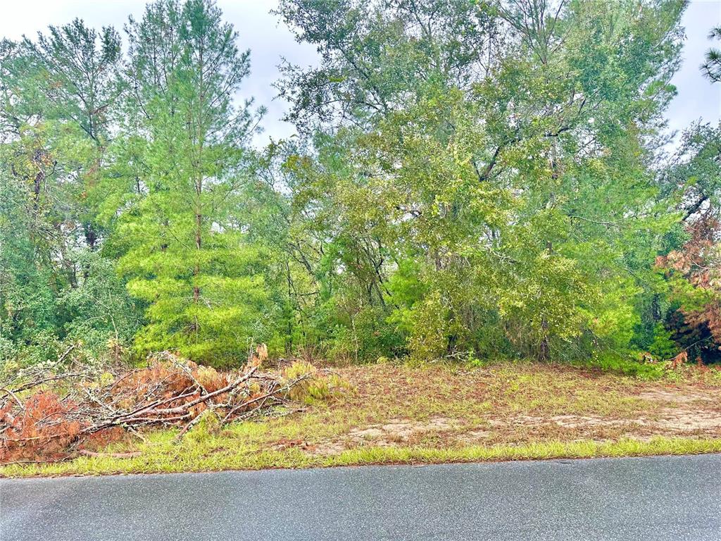 TBD SW 46TH TERRACE Lot 41
