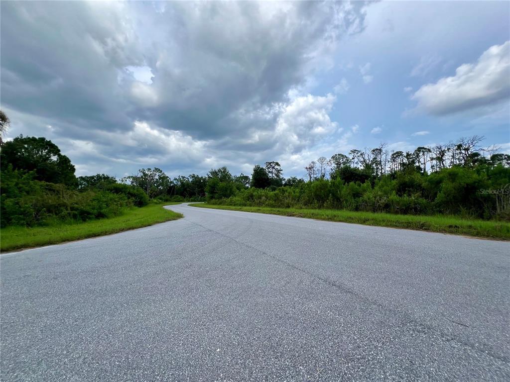 A paved road curves through a rural area with dense green vegetation under a cloudy sky — 2399 DRENNON STREET, PORT CHARLOTTE, FL
