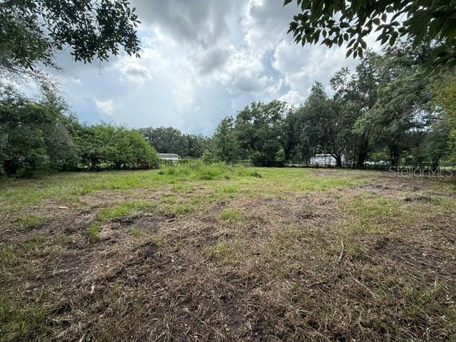 A grassy, partially cleared lot is surrounded by mature trees under a cloudy sky — 3011 S WIGGINS ROAD, PLANT CITY, FL