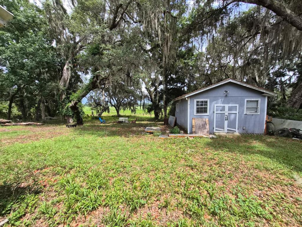 A blue shed sits in a grassy backyard shaded by large trees with hanging moss — 14179 NE 53RD COURT ROAD, CITRA, FL