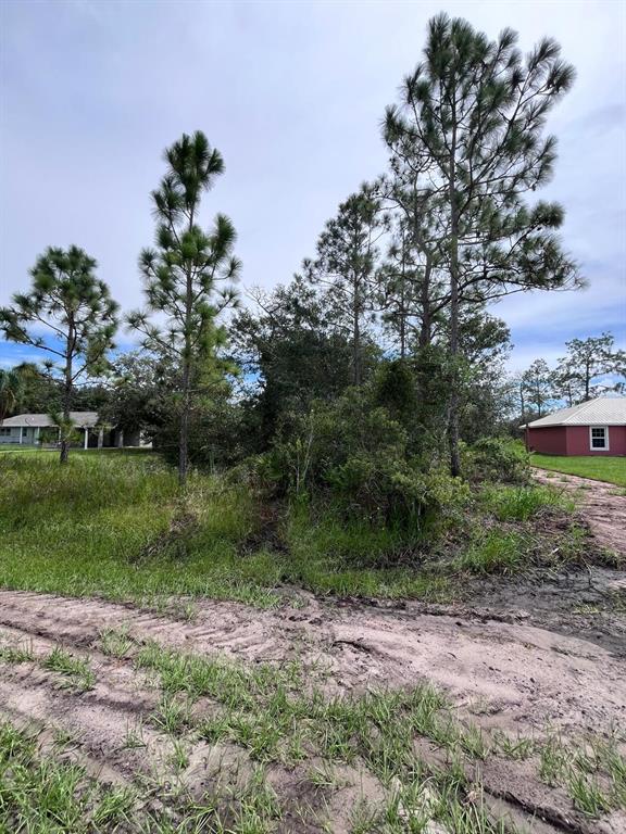 A dirt path leads toward a cluster of pine trees and dense vegetation between houses — 164 DESOTO AVENUE, INDIAN LAKE ESTATES, FL