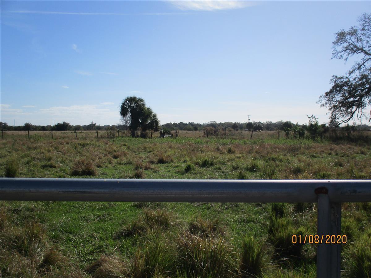 A view of a flat, grassy field with scattered trees under a clear blue sky — 2700 N Kings Highway, Fort Pierce FL 34946, FORT PIERCE, FL