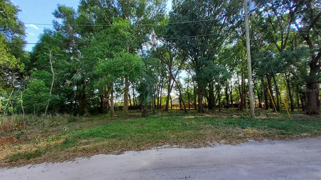 A vacant, wooded lot is viewed from a sandy road under a clear sky — 25050 ALGONQUIN AVENUE, MOUNT PLYMOUTH, FL