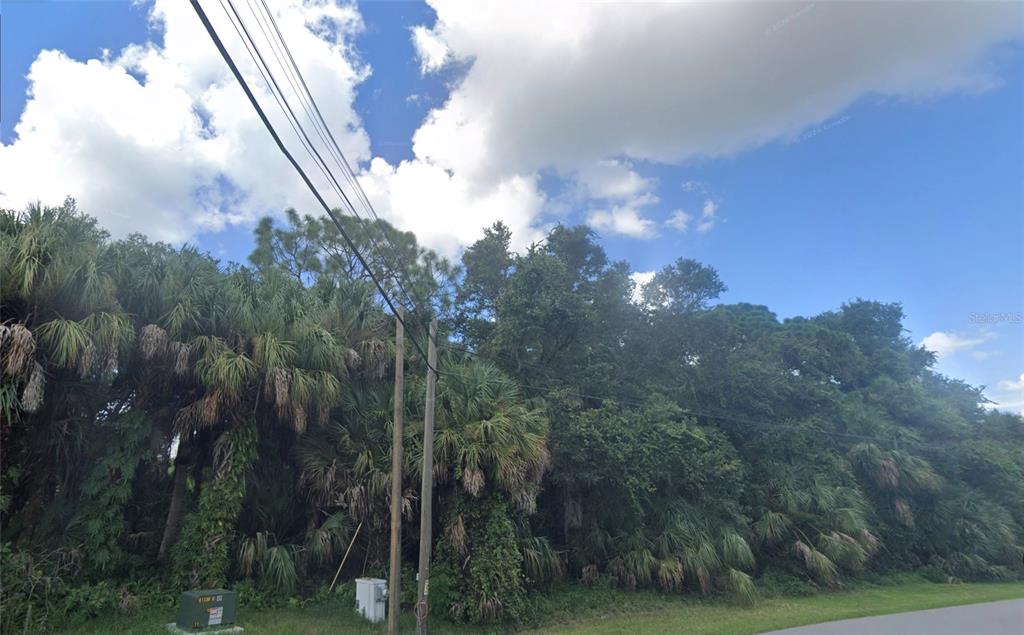 A view of a densely wooded lot with palm trees and utility poles along a road — Lot 5 NANSEN LANE, NORTH PORT, FL