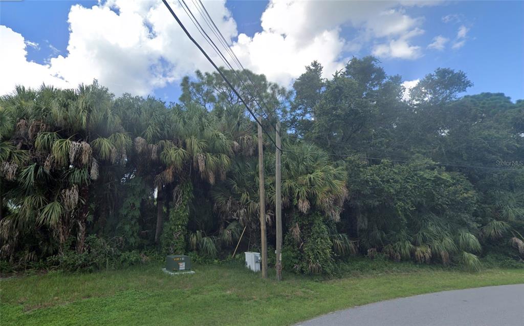 A grassy roadside lot features dense trees, palm vegetation, and utility equipment under a cloudy sky — Lot 5 NANSEN LANE, NORTH PORT, FL