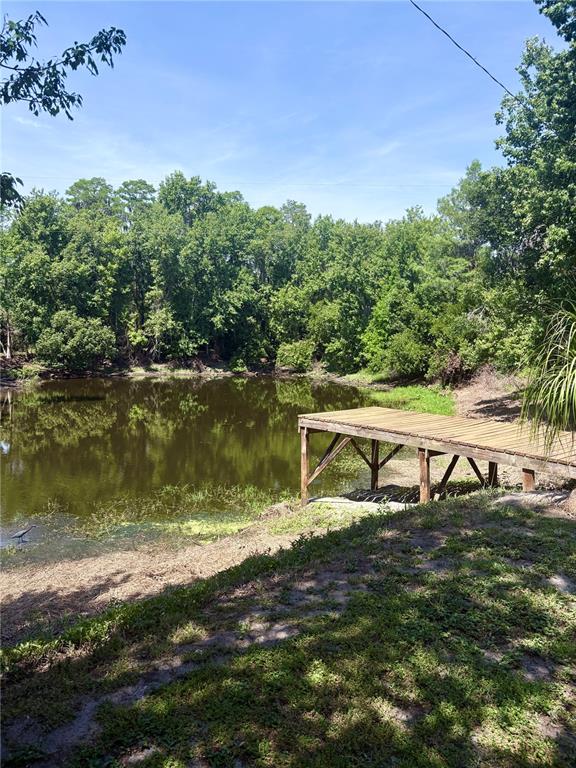 A wooden dock extends over a pond surrounded by dense green trees under a blue sky — 4350 FANNY BASS ROAD, ST CLOUD, FL