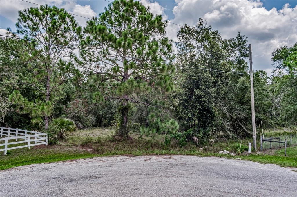 A gravel driveway leads to a wooded lot with a white fence and utility pole — 401 INDIAN MEADOW COURT, WIMAUMA, FL