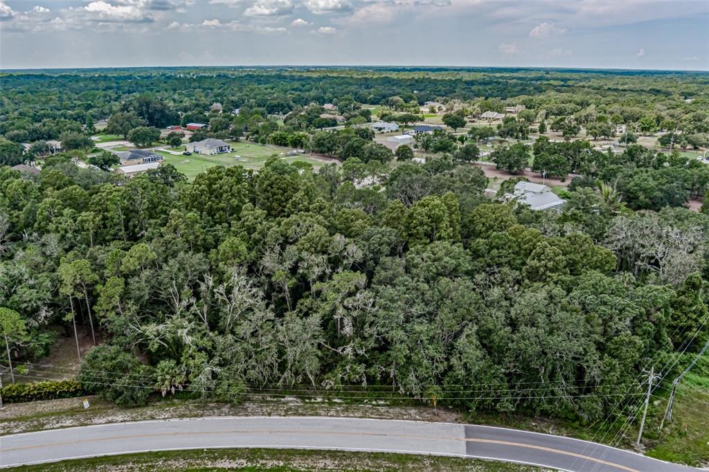 An aerial view shows a wooded lot bordered by a curved asphalt road — 401 INDIAN MEADOW COURT, WIMAUMA, FL