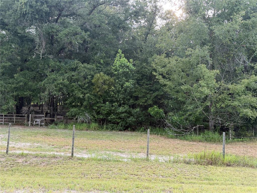 A wire fence borders a grassy field in front of a dense line of trees — NE 32 PLACE, HIGH SPRINGS, FL