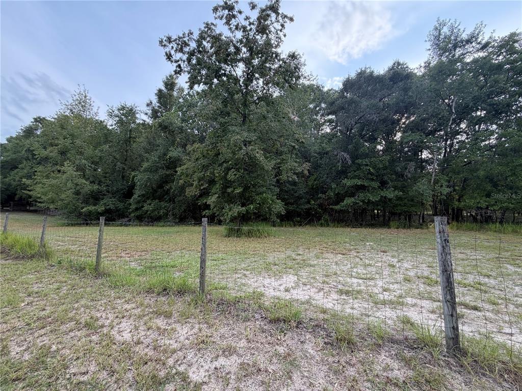 A wire fence borders a grassy, sandy lot in front of a dense forest — NE 32 PLACE, HIGH SPRINGS, FL