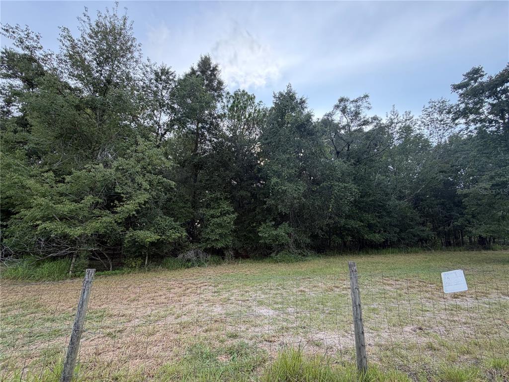 A wire fence borders a grassy field in front of a dense forest — NE 32 PLACE, HIGH SPRINGS, FL