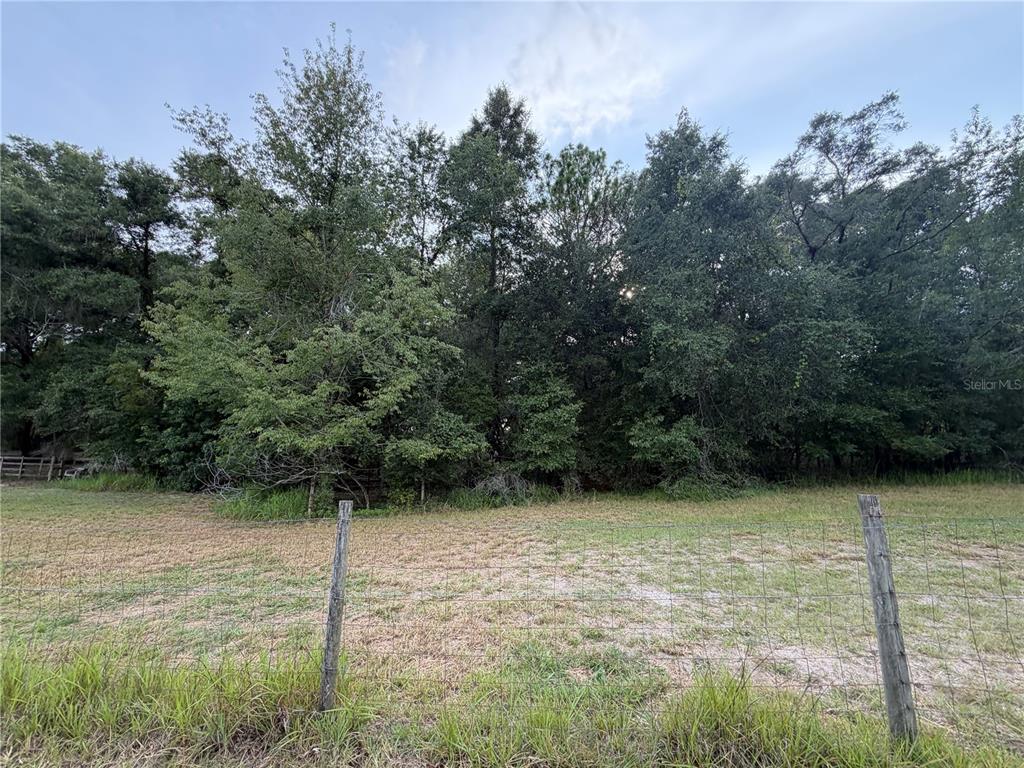 A wire fence borders a grassy field in front of a dense line of trees — NE 32 PLACE, HIGH SPRINGS, FL