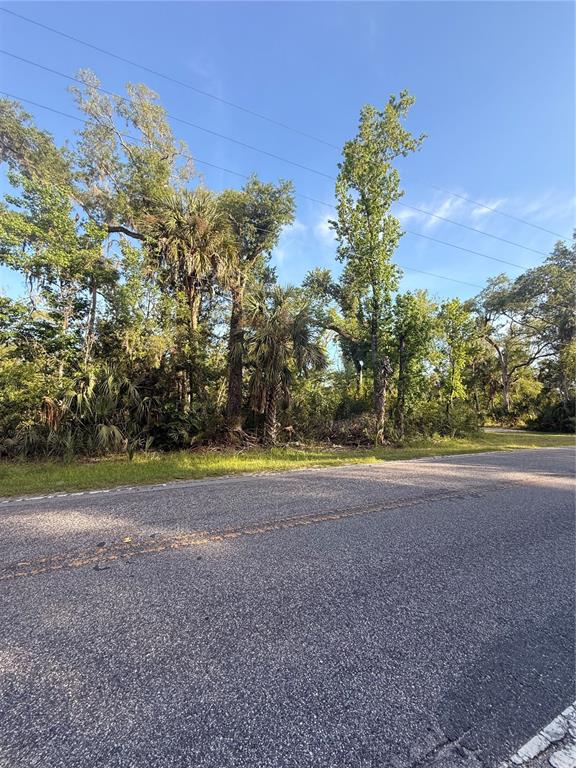 A paved road runs alongside a wooded lot with various trees and palm plants — 10274 W OZELLO TRAIL, CRYSTAL RIVER, FL