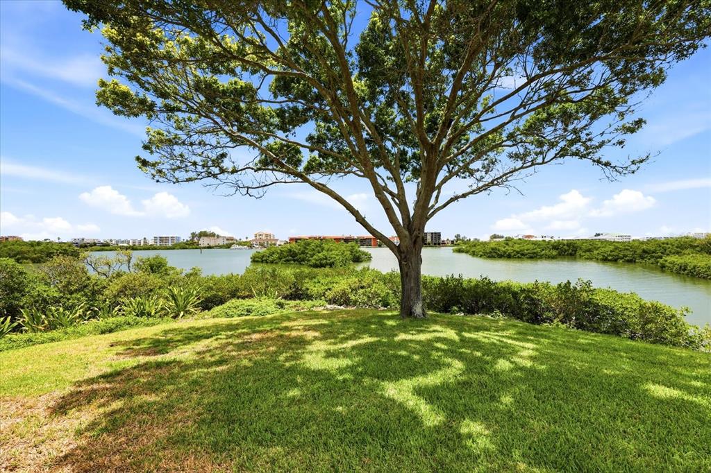 A large tree stands on a grassy hill overlooking a bay with distant buildings — 14628 LORIDAWN DRIVE UNIT 13, SEMINOLE, FL