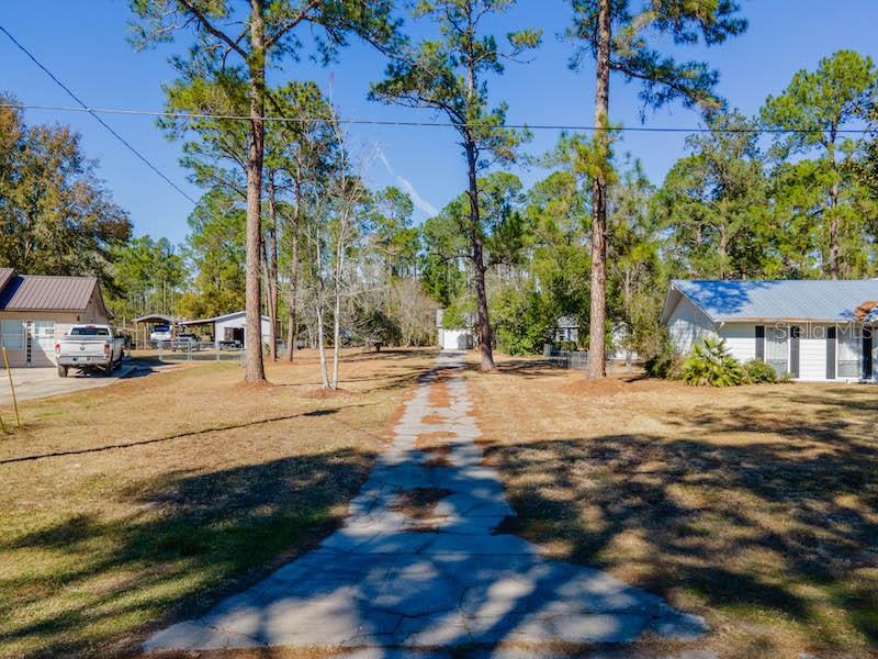 A long, cracked concrete driveway leads toward houses surrounded by tall pine trees — 14641 NE 154TH STREET, FORT MC COY, FL