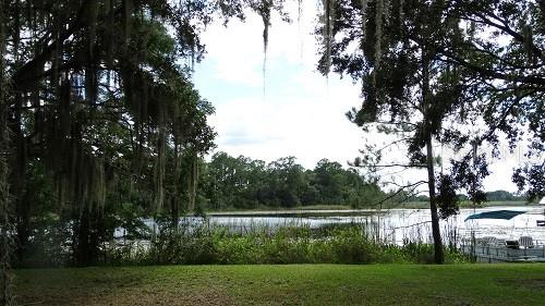A view of a lake framed by trees with Spanish moss and a boat dock — 9444 LAKE HICKORY NUT DRIVE, WINTER GARDEN, FL