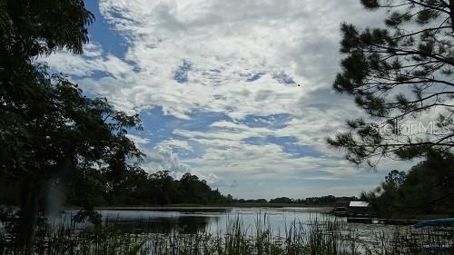 A view of a lake with tall grasses in the foreground and trees under clouds — 9444 LAKE HICKORY NUT DRIVE, WINTER GARDEN, FL
