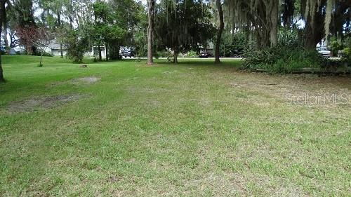 A grassy, tree-lined lot with a view of a distant house and a parked car — 9444 LAKE HICKORY NUT DRIVE, WINTER GARDEN, FL