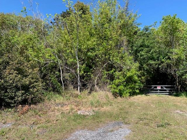 A gravel path leads to a metal gate surrounded by dense trees and vegetation — 1290 CINDER LANE, KISSIMMEE, FL