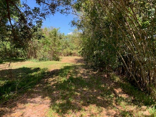 A grassy, wooded path leads into a dense forest area under a clear blue sky — 1290 CINDER LANE, KISSIMMEE, FL