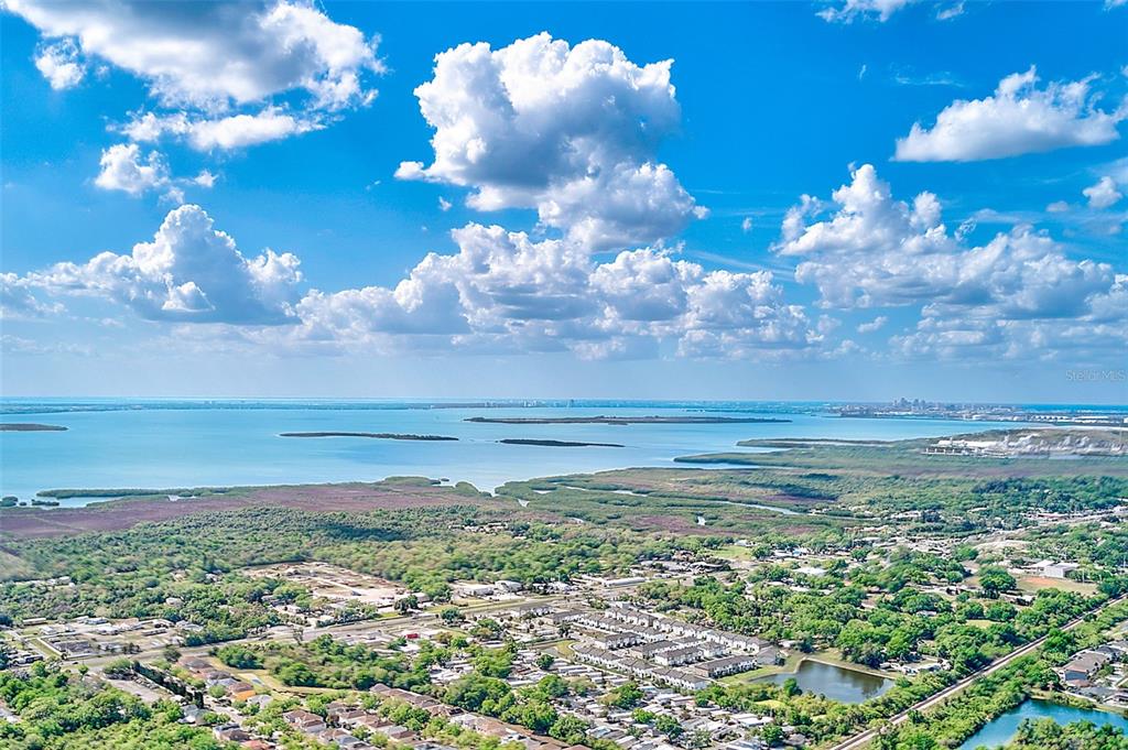 An aerial view shows a coastal residential area with lush greenery, wetlands, and a large bay — 12136 TREE HAVEN AVENUE, GIBSONTON, FL