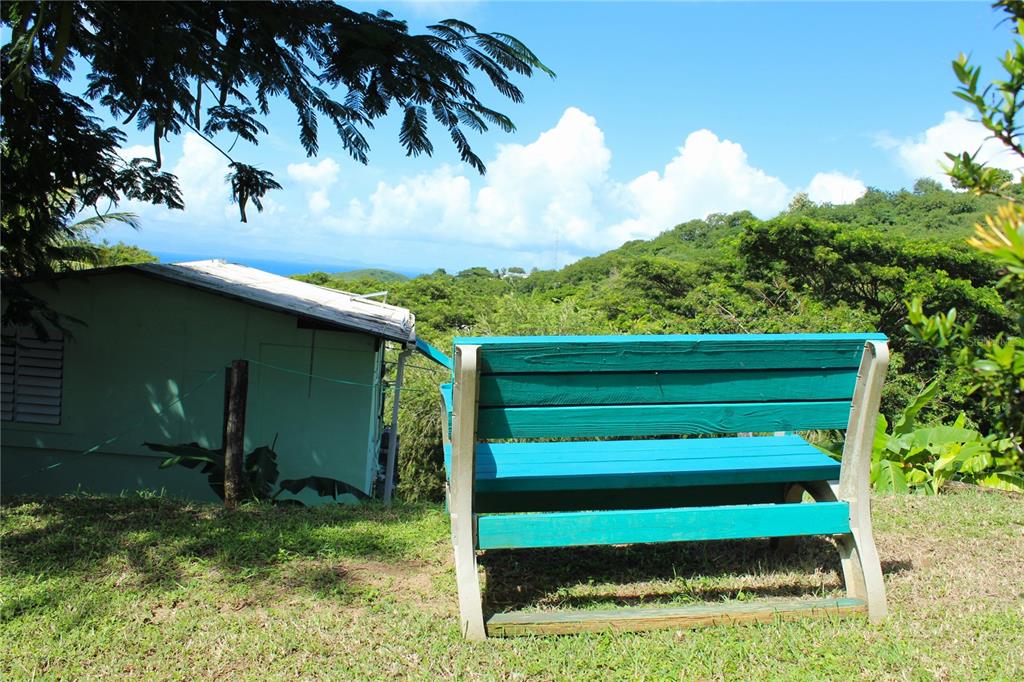 A bright teal wooden bench sits on a grassy hill overlooking trees and the ocean — 15 BIRD'S NEST STUDIOS, VIEQUES, PR