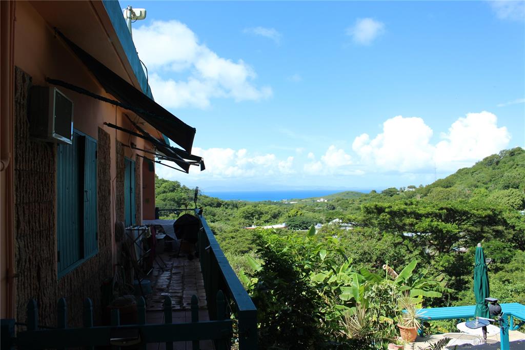 A balcony with a railing overlooks a lush green landscape and the distant ocean — 15 BIRD'S NEST STUDIOS, VIEQUES, PR