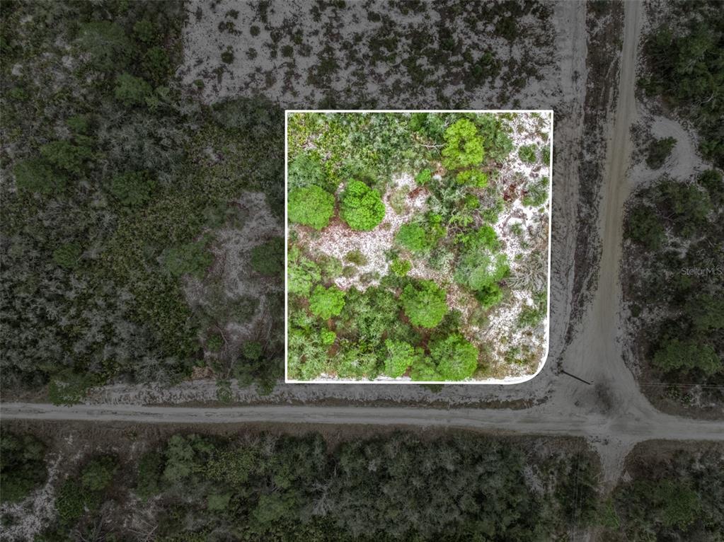 An aerial view shows a square plot of land with trees and sandy soil — 143 PATTON AVENUE, LAKE PLACID, FL
