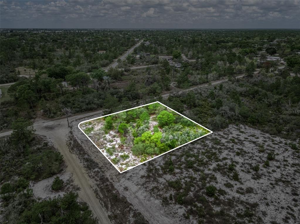An aerial view shows a vacant, wooded rectangular lot outlined in white on a dirt road — 143 PATTON AVENUE, LAKE PLACID, FL