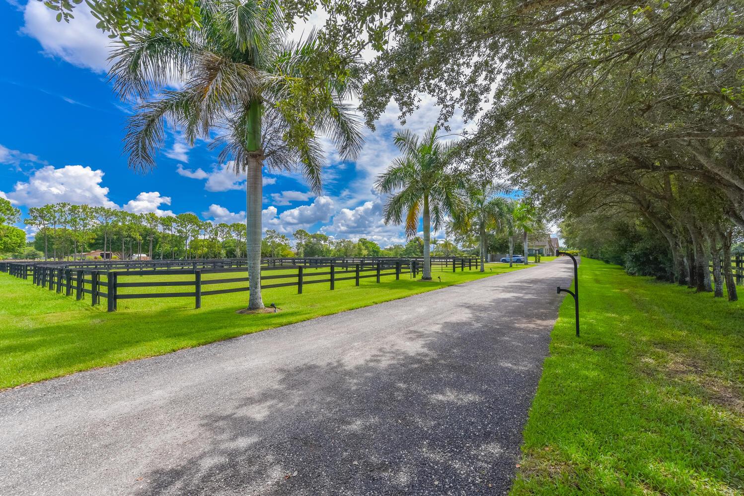 A paved driveway leads toward a house past palm trees and black wooden pasture fencing — 2780 Skipiks Way, Wellington FL 33470, WELLINGTON, FL