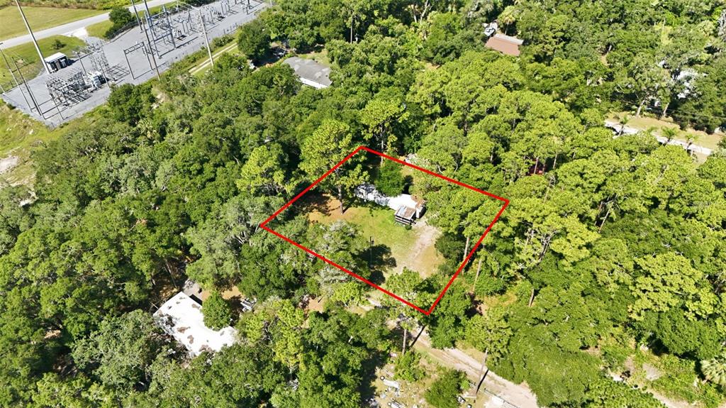An aerial view shows a rectangular property lot outlined in red containing a small house — 43025 E 3RD STREET, PAISLEY, FL