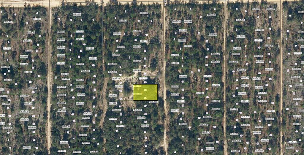 SW 55TH AVENUE