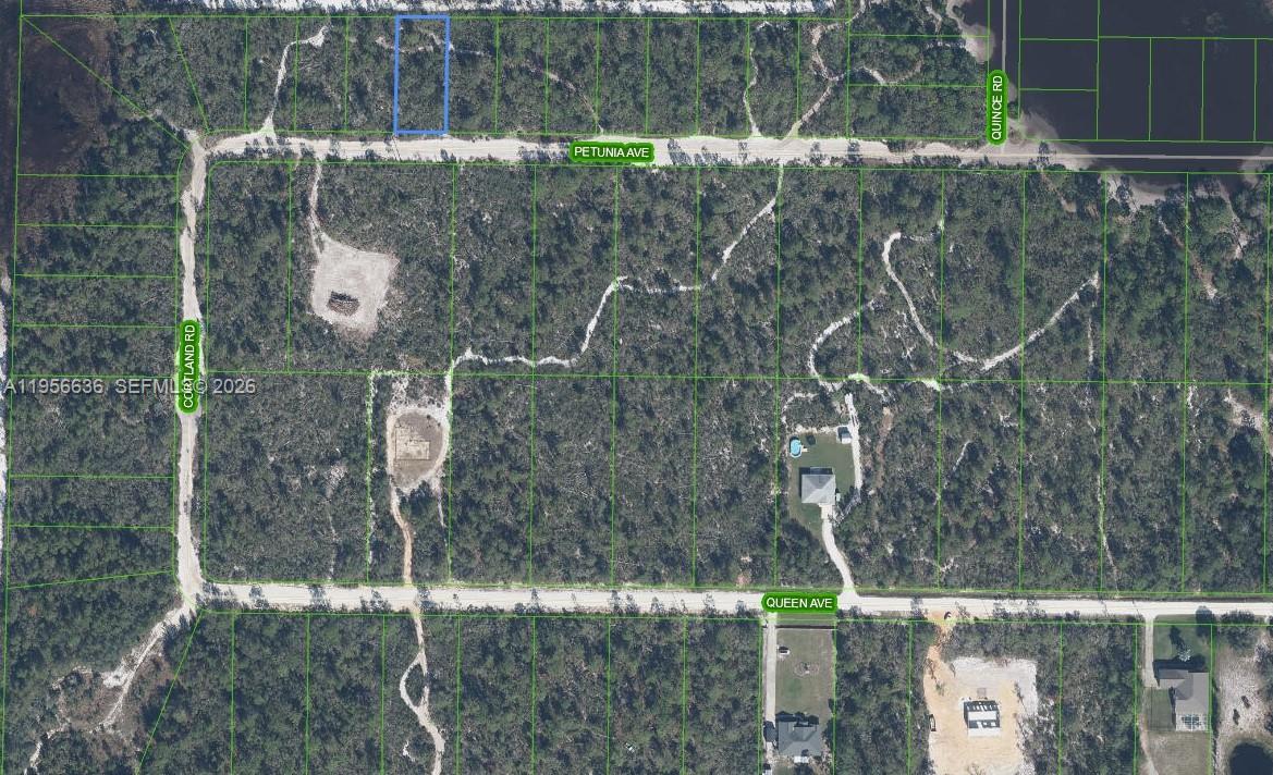 2210 PETUNIA AVE, Sebring FL 33875