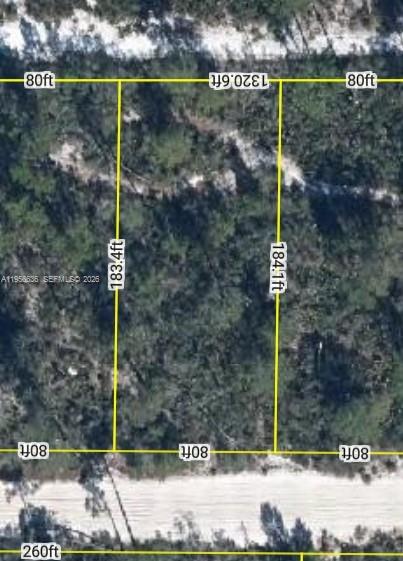 This is an aerial map showing the property boundaries and dimensions of a rectangular land parcel — 2210 PETUNIA AVE, Sebring FL 33875, SEBRING, FL
