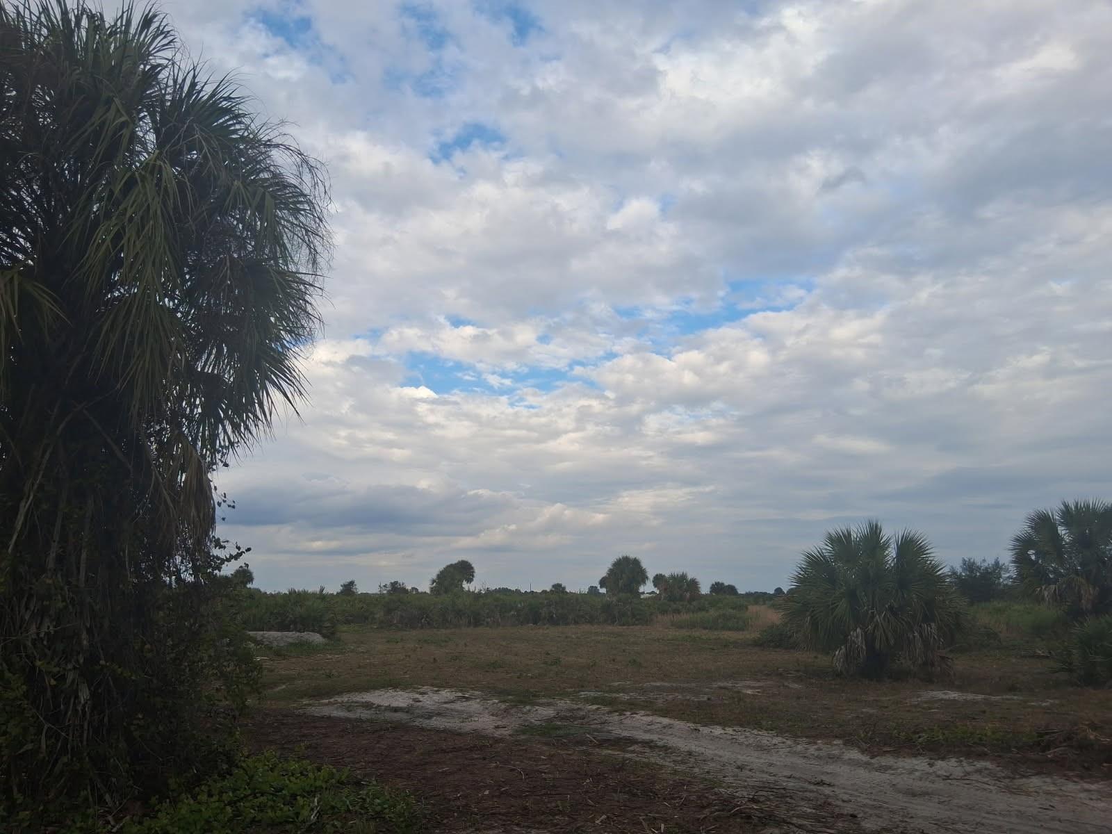 A large palm tree stands beside a flat, grassy lot under a cloudy blue sky — 21583 NW 274th Street, Okeechobee FL 34972, OKEECHOBEE, FL