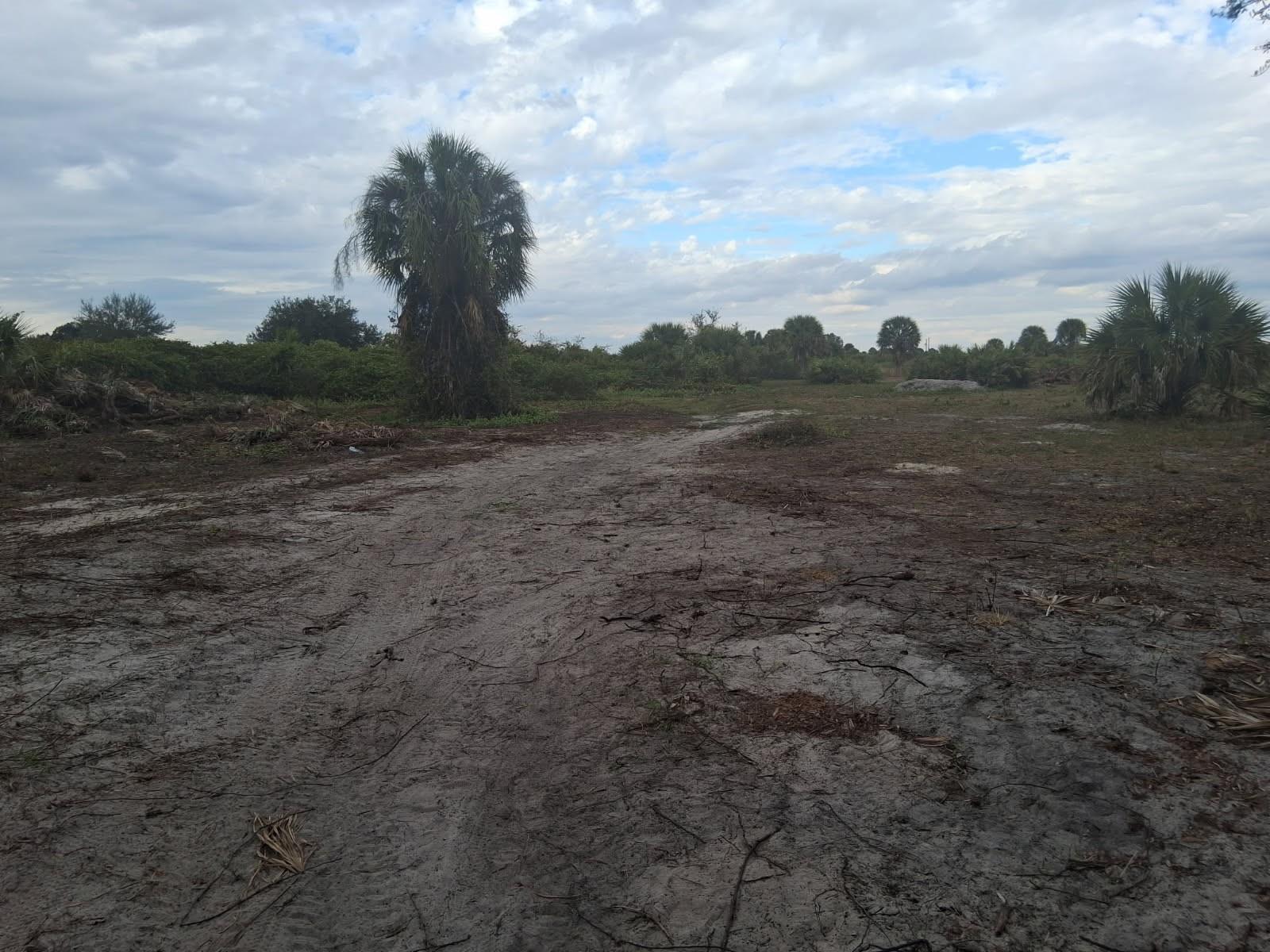 A dirt path leads through a cleared, sandy lot with scattered palm trees and vegetation — 21583 NW 274th Street, Okeechobee FL 34972, OKEECHOBEE, FL