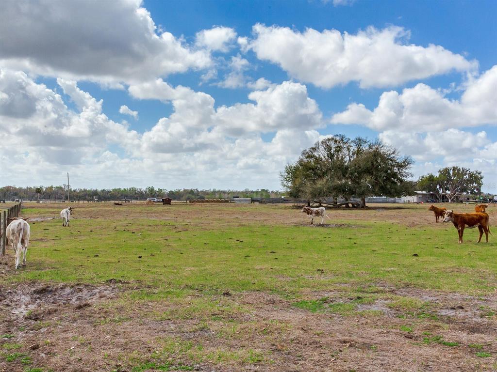 0 S CR 39, LITHIA, FL — photo 4 of 13