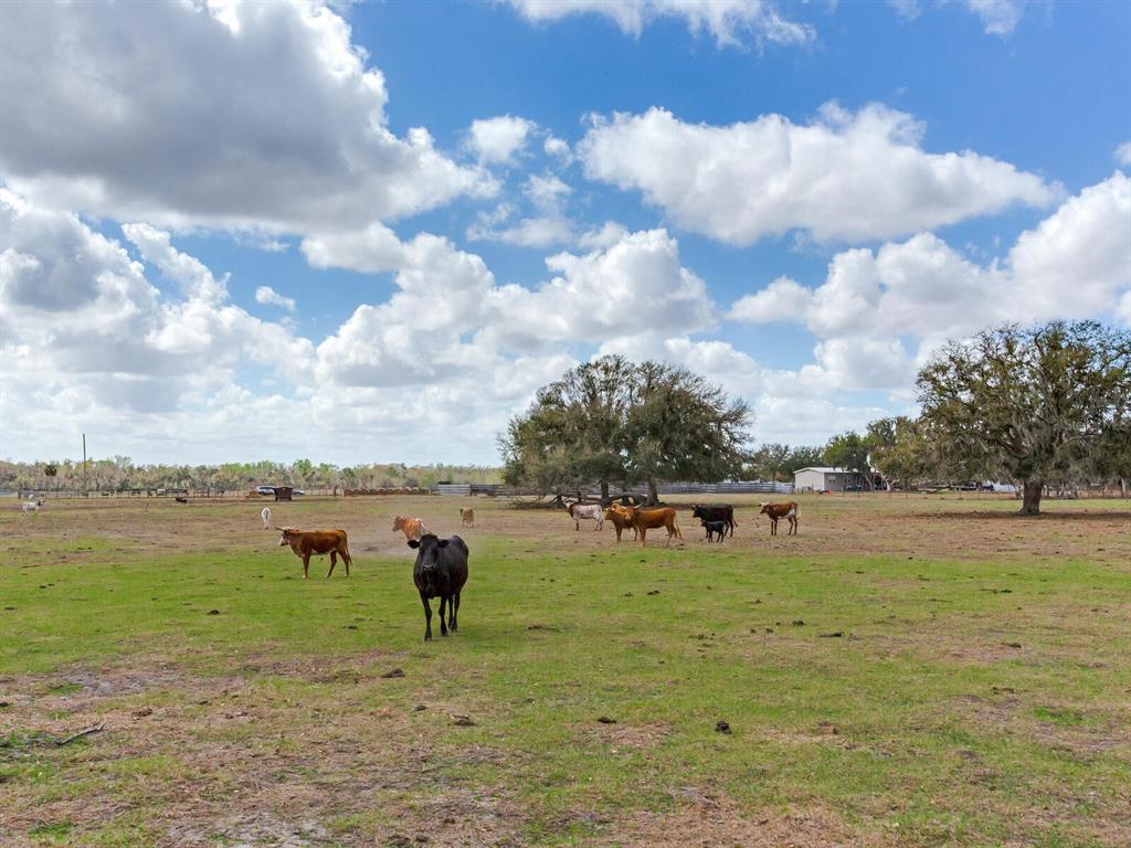 0 S CR 39, LITHIA, FL — photo 5 of 13