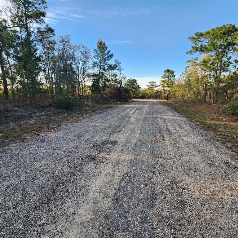 A gravel road stretches through a wooded area under a clear blue sky — 6673 N LIBBY TERRACE, CITRUS SPRINGS, FL