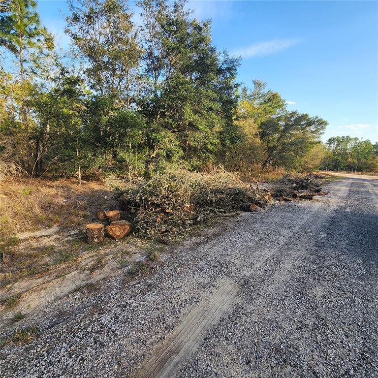A gravel road runs alongside a wooded lot with a pile of cut tree branches — 6673 N LIBBY TERRACE, CITRUS SPRINGS, FL