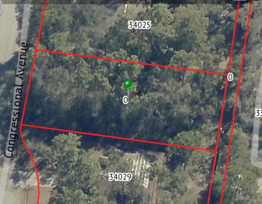 An aerial view shows a rectangular, wooded vacant lot outlined in red — 34027 CONGRESSIONAL AVENUE, DADE CITY, FL