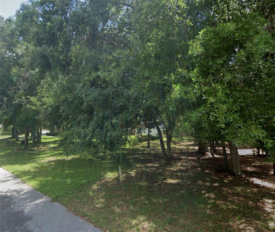 A grassy lot with several mature trees sits beside a paved road — 34027 CONGRESSIONAL AVENUE, DADE CITY, FL