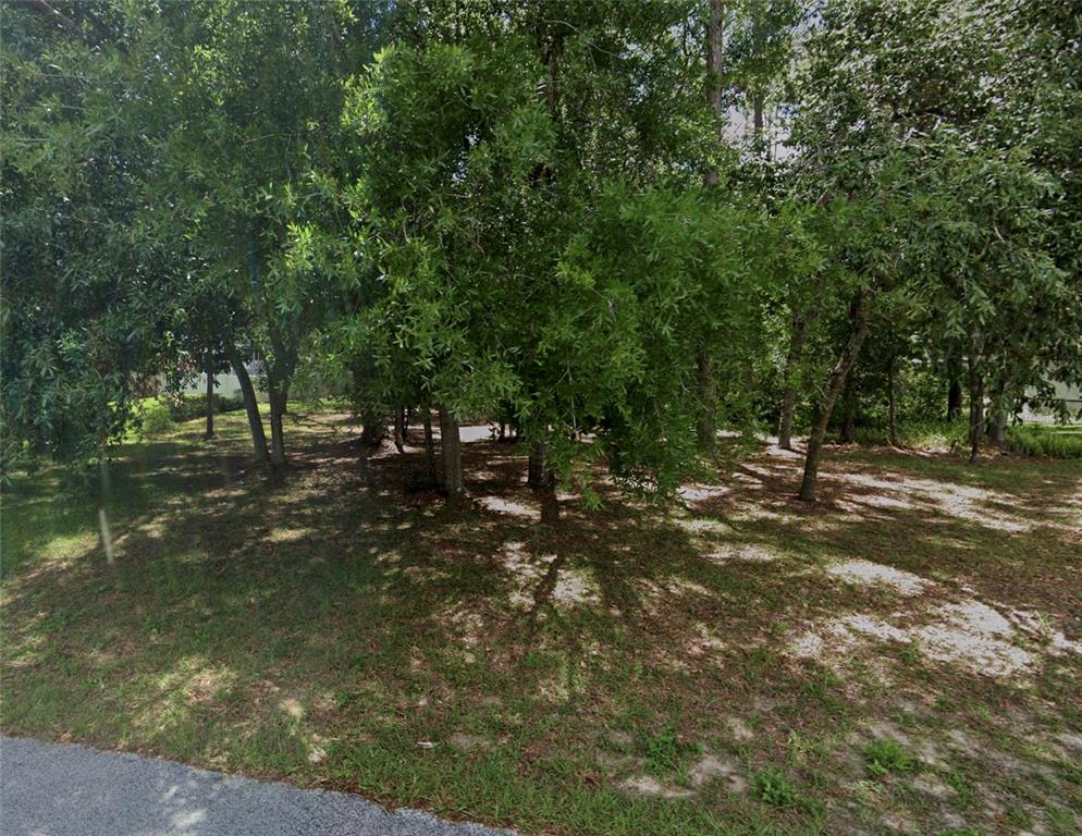 A wooded lot with several trees and patches of grass viewed from a paved road — 34027 CONGRESSIONAL AVENUE, DADE CITY, FL